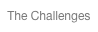 The Challenges